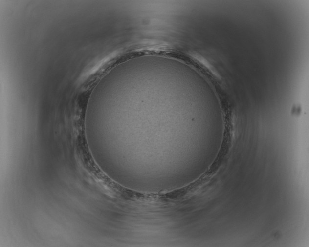 X0000112061399200908041203
