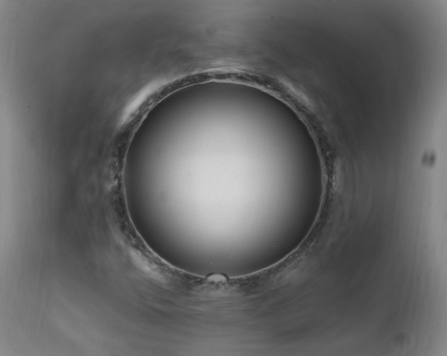 X0000112061400200908041203