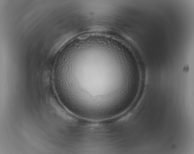 X0000112061401200908041203