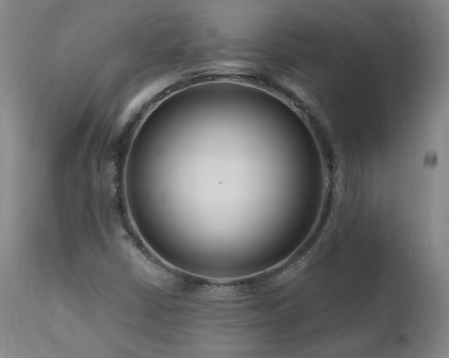 X0000112061402200908041203