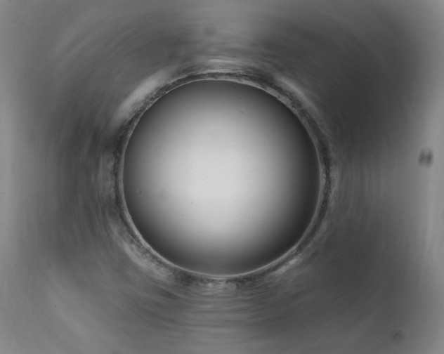 X0000112061403200908041203
