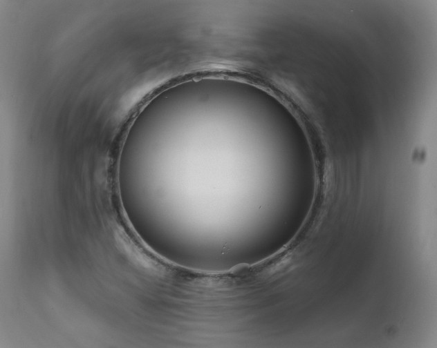 X0000112061404200908041203