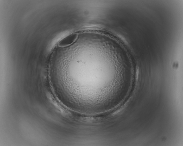 X0000112061405200908041203