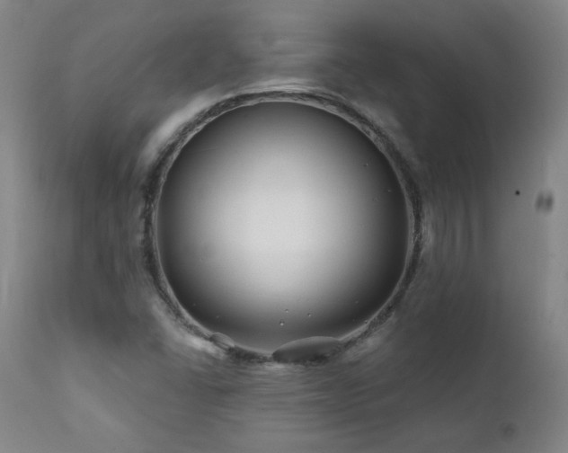X0000112061406200908041203
