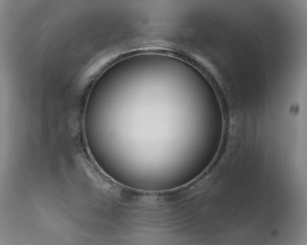 X0000112061407200908041203