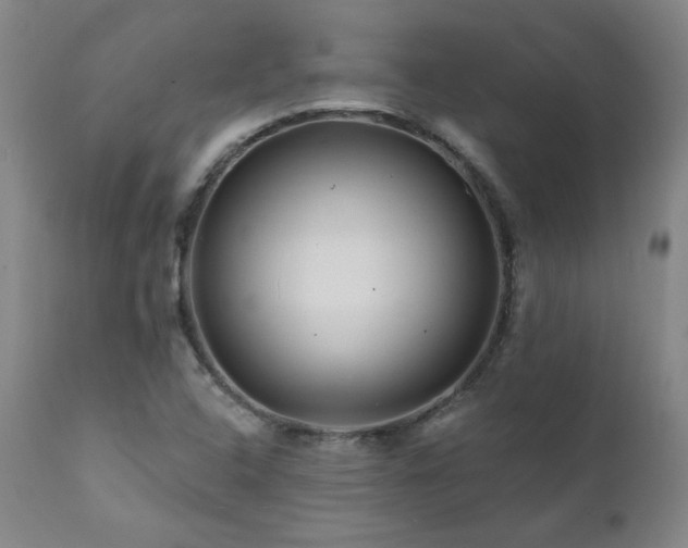 X0000112061408200908041203