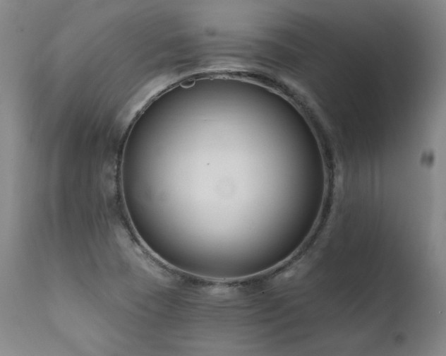 X0000112061409200908041203