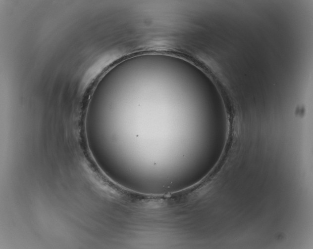 X0000112061410200908041203