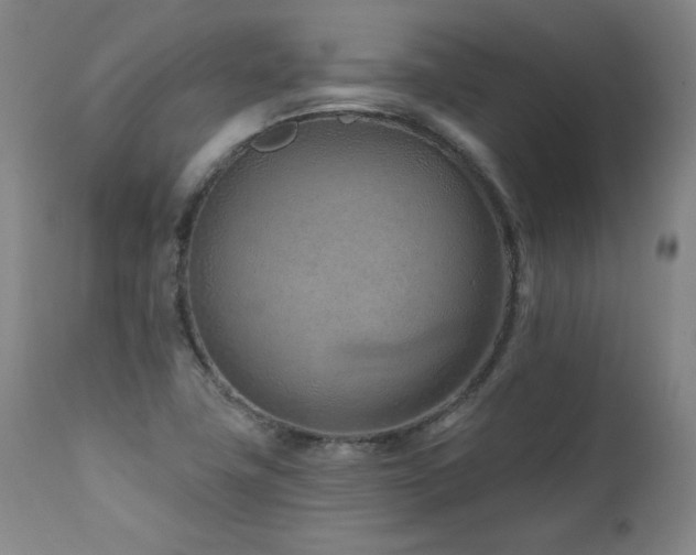 X0000112061411200908041203