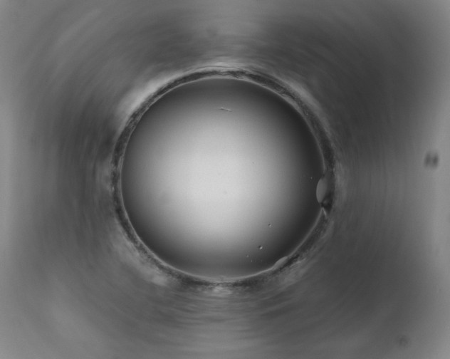X0000112061412200908041203