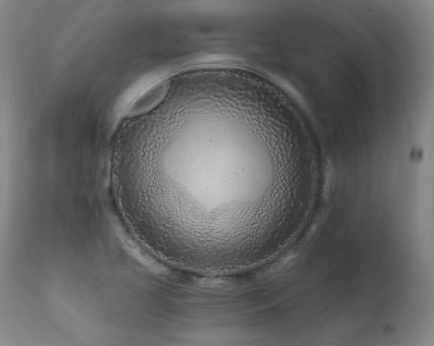 X0000112061413200908041203