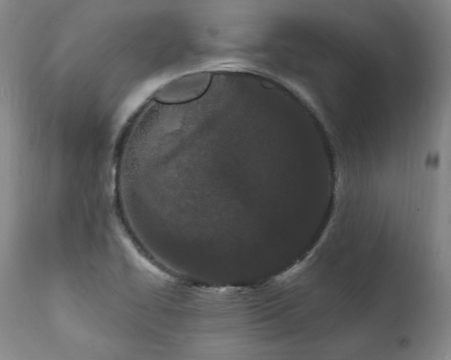 X0000112061414200908041203