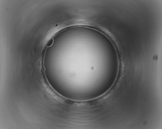 X0000112061415200908041203