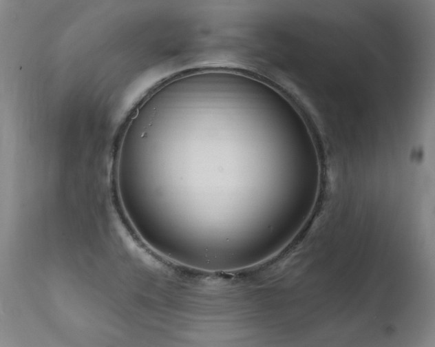 X0000112061416200908041204