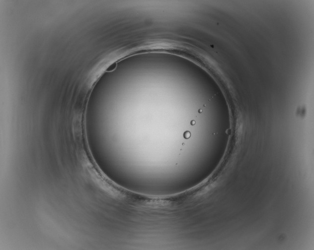 X0000112061417200908041204