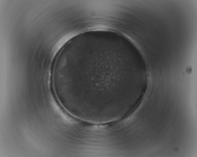 X0000112061418200908041204