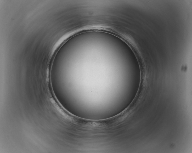 X0000112061420200908041204