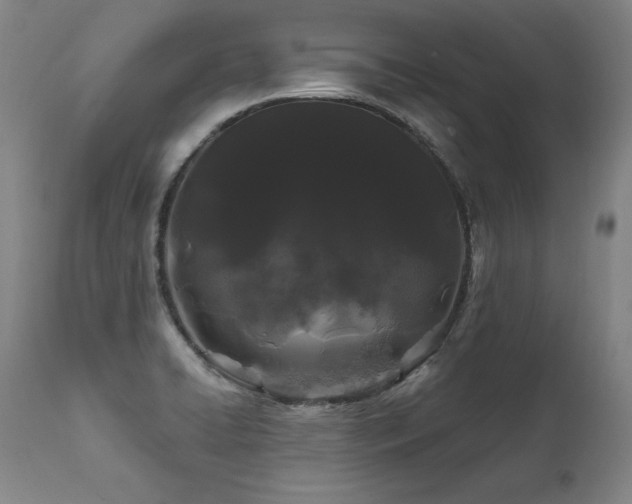 X0000112061422200908041204