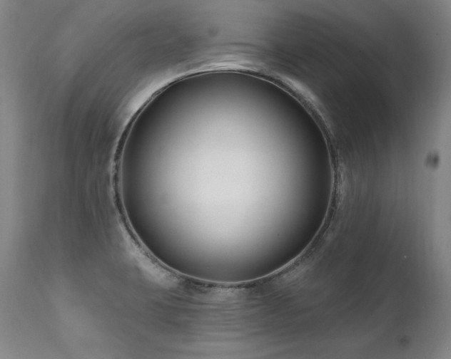 X0000112061423200908041204