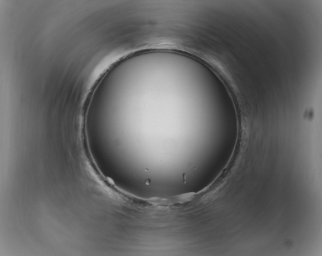 X0000112061424200908041204