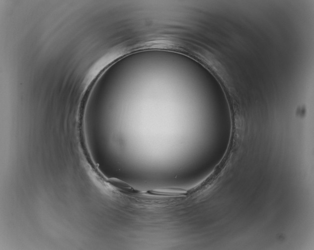 X0000112061426200908041204