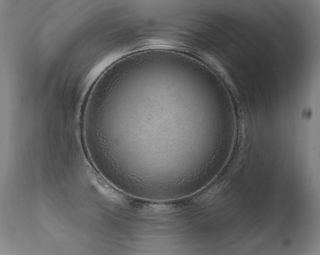 X0000112061427200908041204