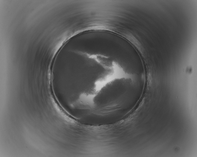 X0000112061428200908041204