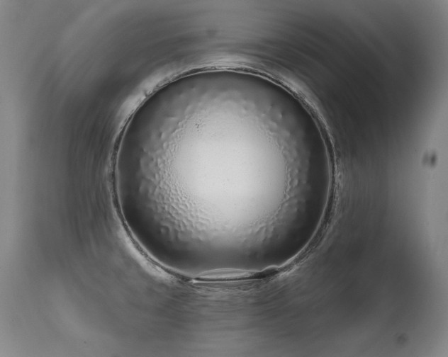X0000112061429200908041204