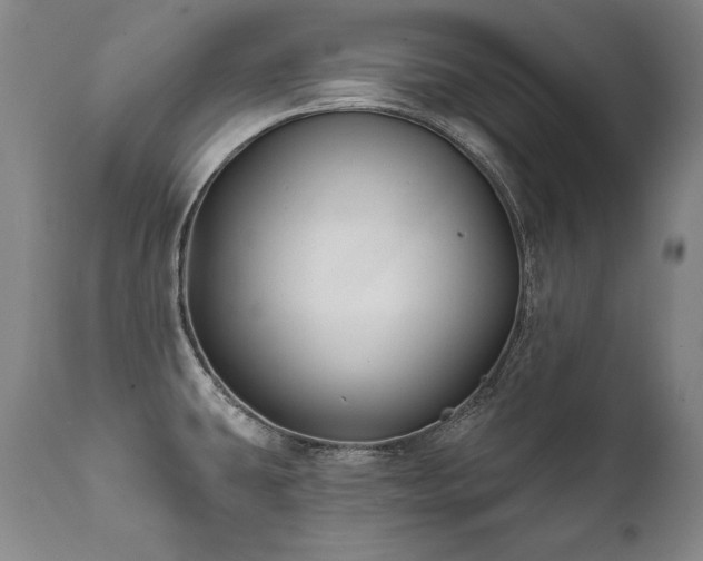 X0000112061431200908041204