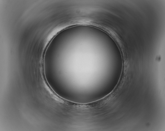 X0000112061432200908041204