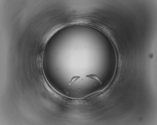 X0000112061433200908041204