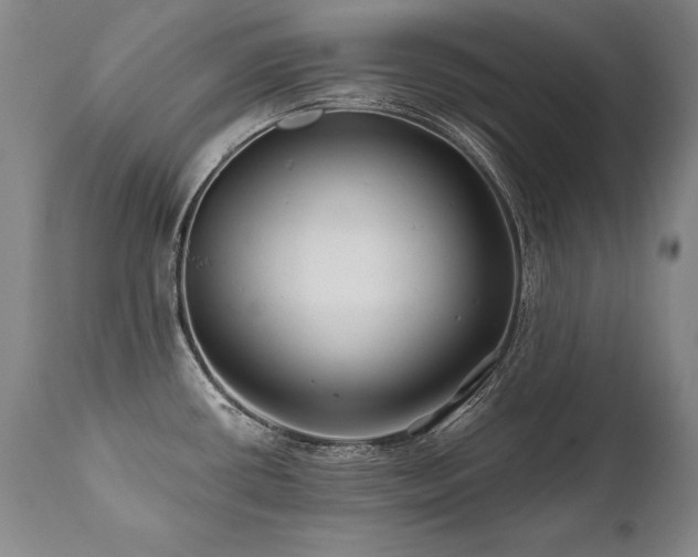 X0000112061434200908041204