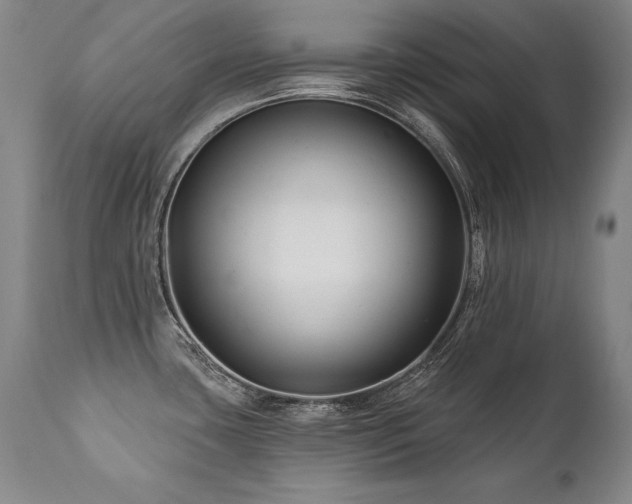X0000112061435200908041204