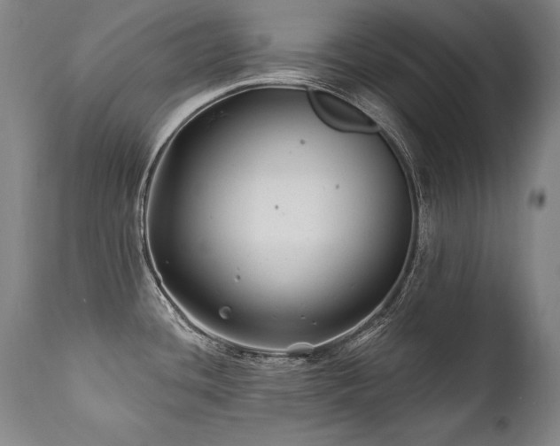 X0000112061436200908041204
