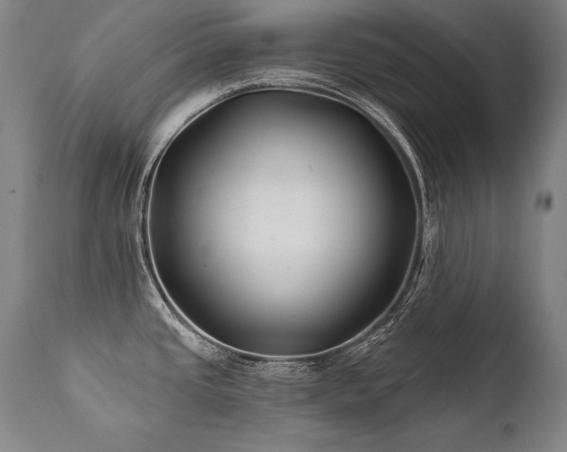 X0000112061437200908041204