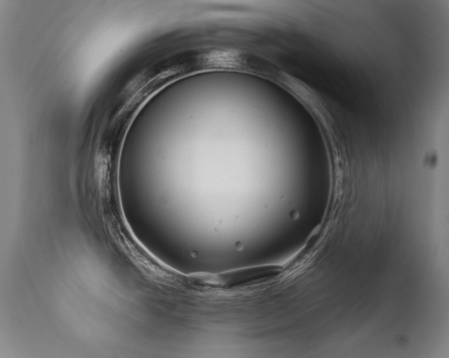X0000112061438200908041204