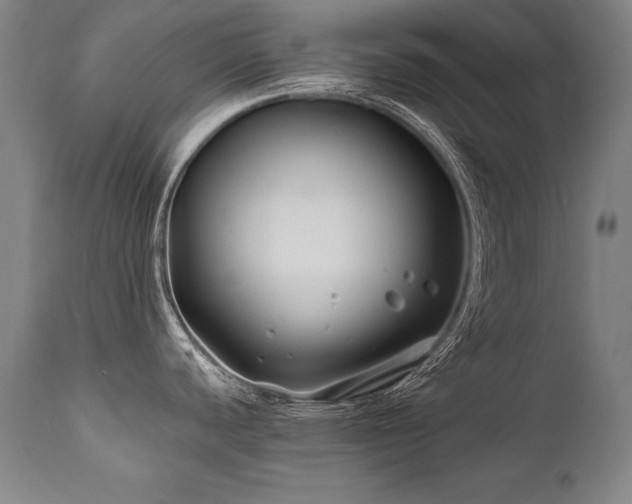 X0000112061440200908041204