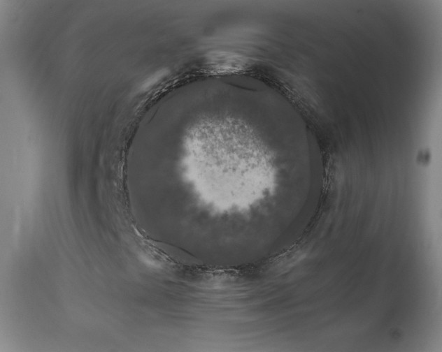X0000112061441200908041203