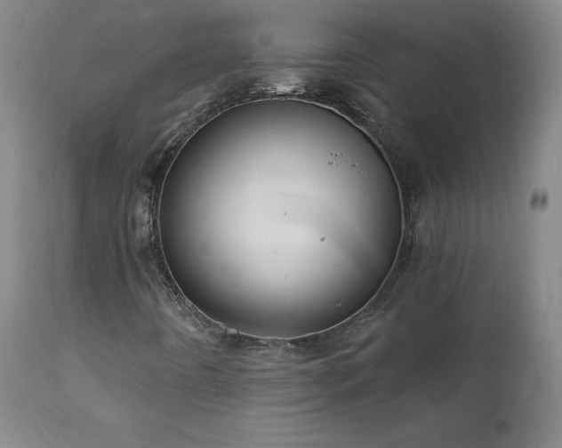 X0000112061442200908041203