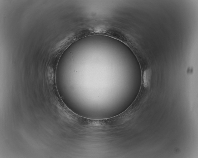 X0000112061443200908041203