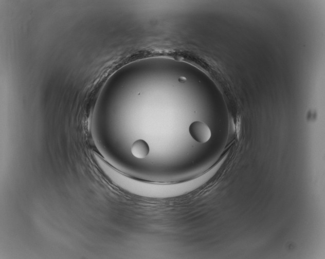 X0000112061444200908041203