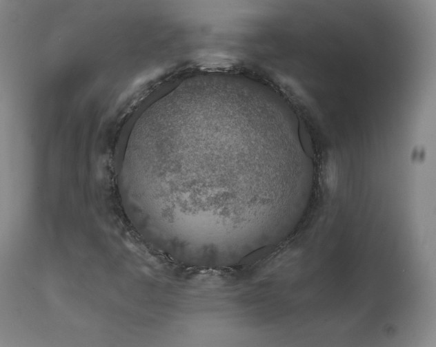 X0000112061445200908041203