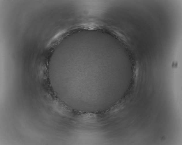 X0000112061446200908041203