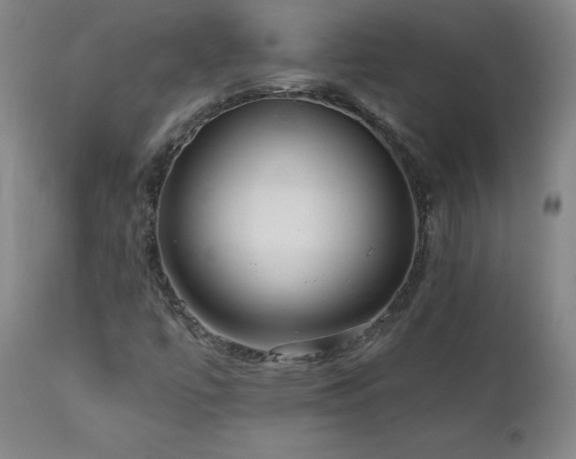 X0000112061447200908041203