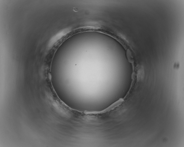 X0000112061448200908041203