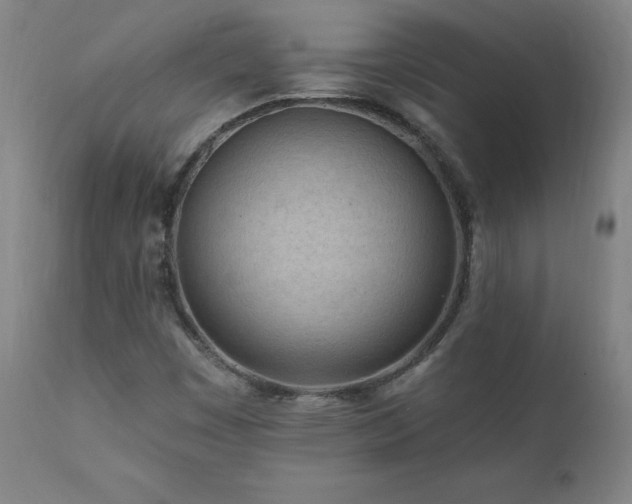 X0000112061449200908041203
