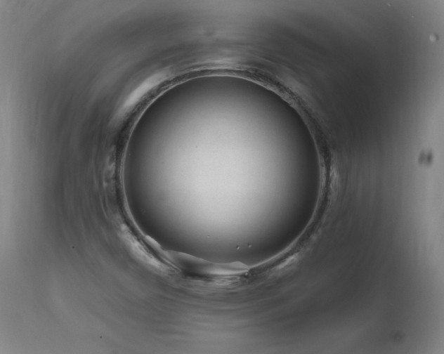 X0000112061450200908041203