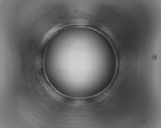 X0000112061451200908041203