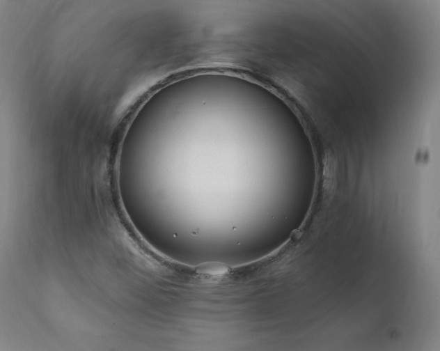 X0000112061452200908041203