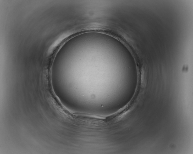 X0000112061453200908041203